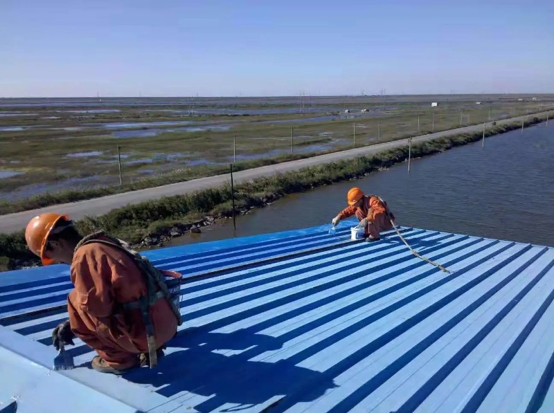 梁园彩钢瓦屋面防腐翻新